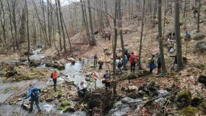 Детаљ са паузе крај извора Крепољинске реке